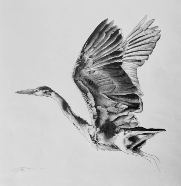 - Paper on pencil, Painting by Carys Avery Welsh, measuring 26 x 26 cm (H x W) framed at 44 x 44 cm £245